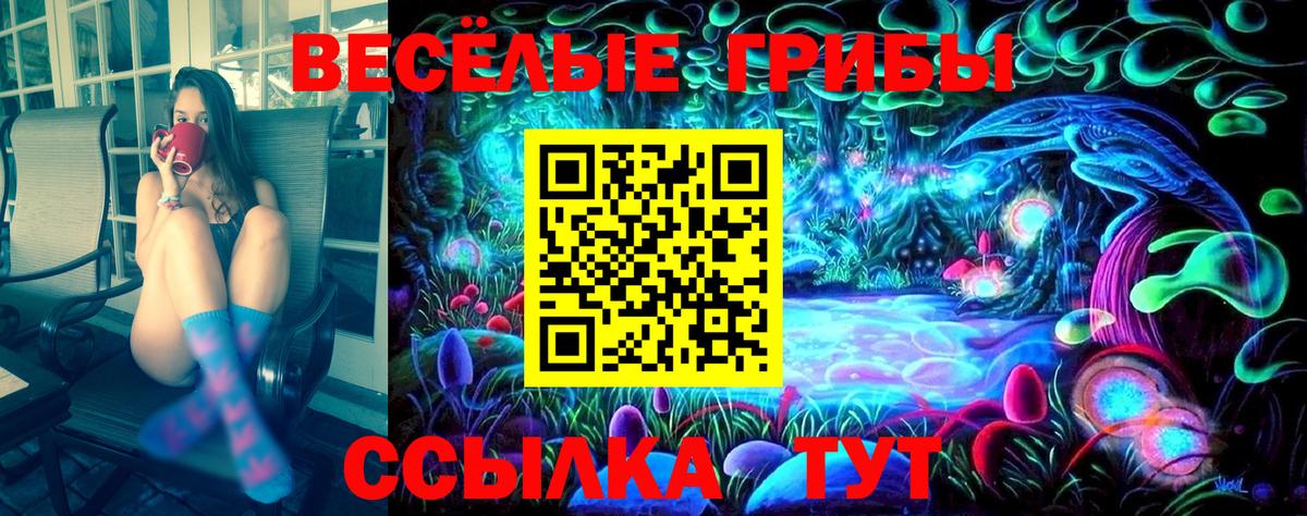 Галлюциногенные грибы Cubensis Йошкар-Ола
